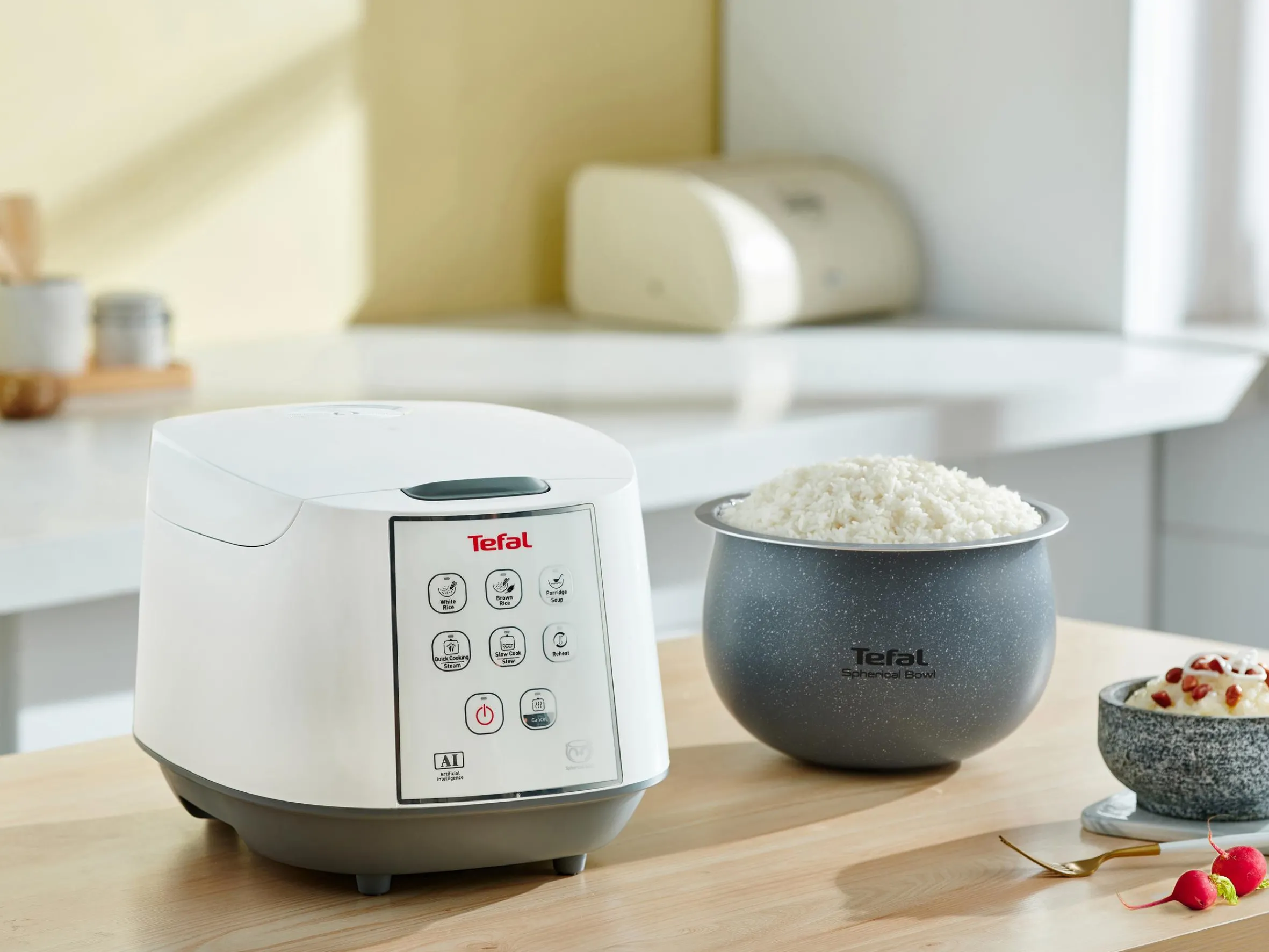 EasyCook+ RK7321|Tefal