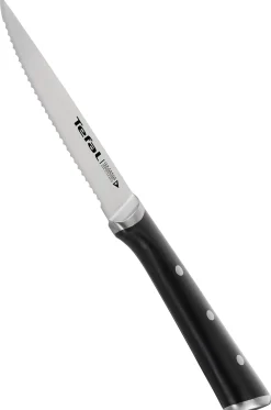 Ice Force Steakmesser 4er Set K232S4|Tefal New