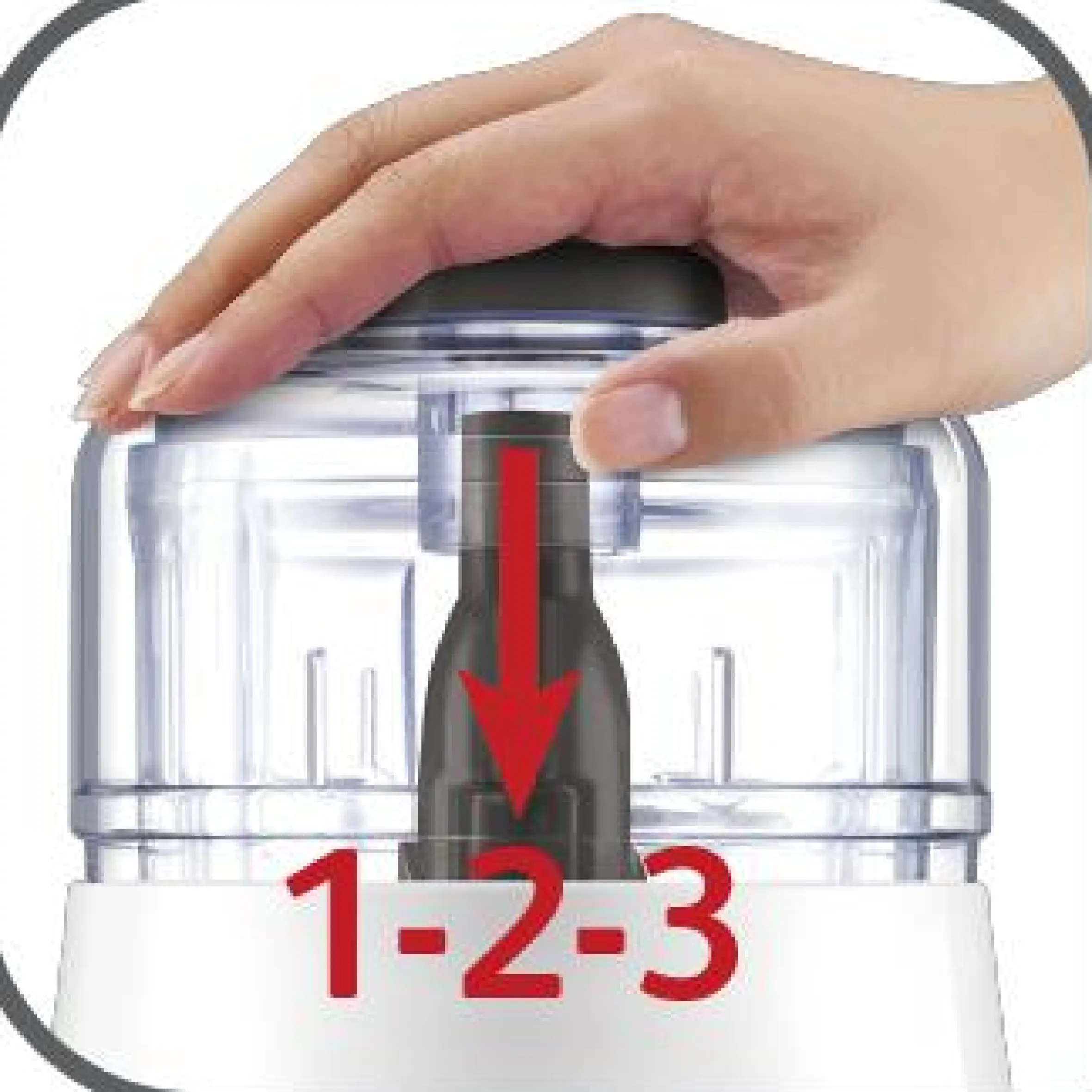 La Moulinette Zerkleinerer DPA1X|Tefal Online