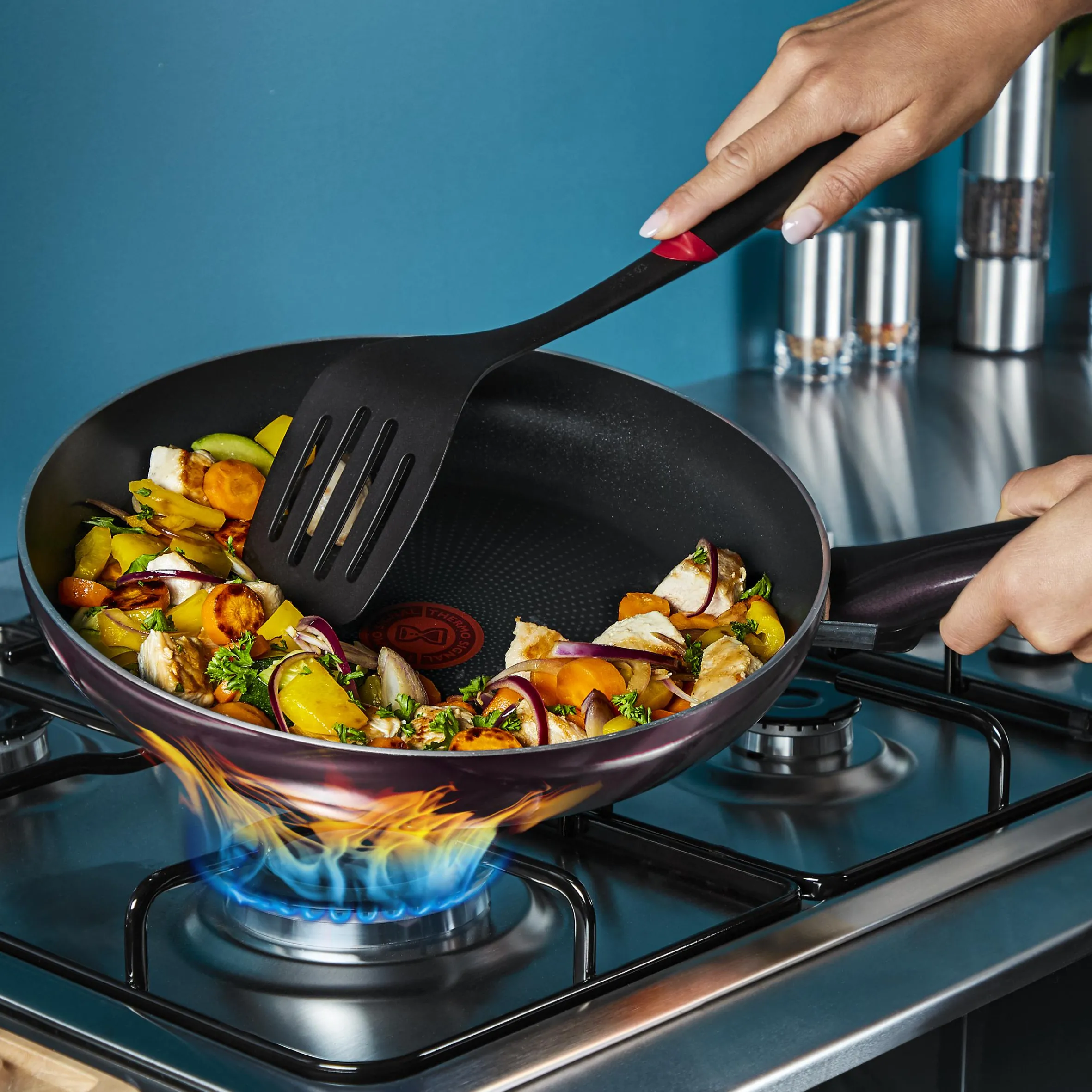 Resist Intense Pfanne 24 cm D52204|Tefal Online